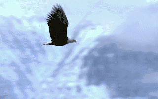 厂商动态_天极资讯频道_IT行业资讯_互联网_电商打造科技行业权威坐看渠道风云变迁